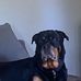 Rob Halligan - Facebook