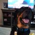 Robert Hamlin - Facebook