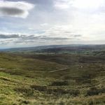 Robert Halstead - @roberthalstead2 - Instagram