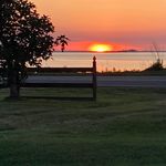 Robert Halstead - @robert.halstead.quackquack - Instagram