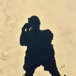Robert Hammar - @robham2 - Instagram