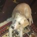 Robert Hammerschmidt - Facebook