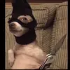 robert.hansen - @robert.han211 - TikTok