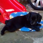 Róbert Hardoň - @hardonrobert - Instagram