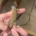 Robert Kenneth Haralson - Facebook