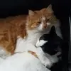robertharbaugh879 - @robertharbaugh879 - TikTok