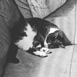 Robert Hare - @roborob4495 - Instagram