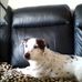 Robert Harle - Facebook
