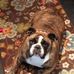Robert Harle - Facebook