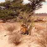 Robert-Paul Harmsen - @robertpaulharmsen - Instagram