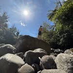Robert Harrison - @robert._.harrison - Instagram