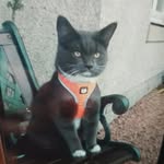 Robert Harvie - @harvie8819 - Instagram