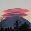 Robert Harvie - @robert.harvie7 - TikTok
