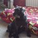 Robert Haswell - Facebook