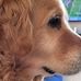 Robert Hatton - Facebook