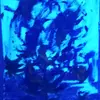 roberthauenstein - @rob50174 - TikTok