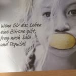 Robert Hauke - @robert.hauke.35 - Instagram