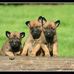 Robert Hausrath - Facebook