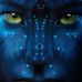 Robert Haven - Facebook