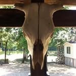 Robert Hawker - @hawkerrobert - Instagram