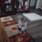 Robert Hayner - Facebook