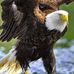 Robert Headrick - Facebook
