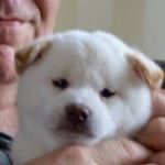 Robert Healey - @healey_robert - Instagram