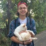 Robert Healy - @healy.robert - Instagram