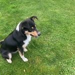 Robert healy - @robert_healy12 - Instagram