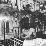 Robert hearts - @robert_hearts - Instagram
