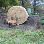 Robert Hettinger - @hettinger.robert - Instagram