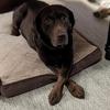 Robert Hedgepeth - @robert.hedgepeth - TikTok