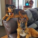 Robert Heeter - @rheeter11 - Instagram