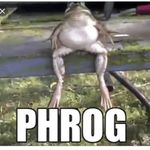 Phrog - @robert_heffley26 - Instagram