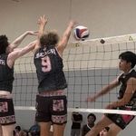Robert Hege - @roberthegevolleyball - Instagram