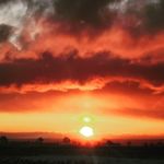 Robert Hegegy - @roberthegegy - Instagram