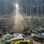 Robert Heider - @krheidro - Instagram