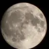 Robert_Westheider-_- - @robert_westheider4 - TikTok