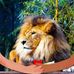Robert Heiz - Facebook