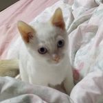 Robert - @robert.heis_jr - Instagram