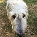 Robert S Helberg - @rickdaruler58 - Instagram