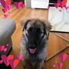 roberthelle357 - @roberthelle357 - TikTok