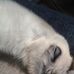 Robert Helmick - Facebook