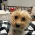 Robert Hembree - Facebook