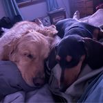 Robert Herberger - @rs_herberger - Instagram