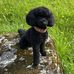 Robert Herbert - Facebook