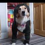 Robert Herbert - @robert.herbert_ - Instagram