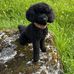 Robert Herbert - Facebook