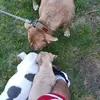 Robert Herbert - @robert.herbert5 - TikTok