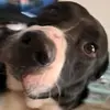 Robert Sherbert - @robert.sherbert - TikTok